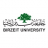 Birzeit university Logo