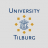 Tilburg School of Economics and Management (TiSEM) Logo