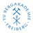 Technische Universität Bergakademie Freiberg Logo