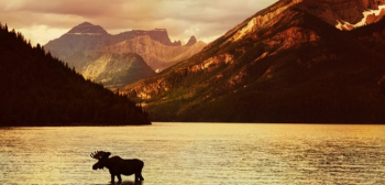 Graduate Study in Canada: Guide for International Students main image